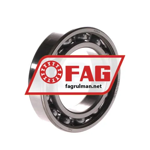 FAG 6009-C3