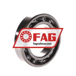 FAG 6009-C3