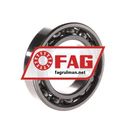 FAG 6009-C3 rulman resim 2
