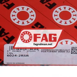 FAG 6024-2RSR rulman resim 5