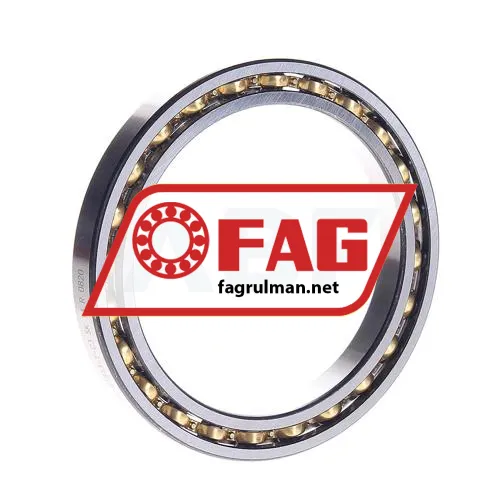 FAG 61813-Y-C3