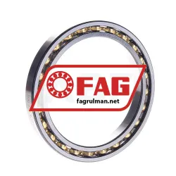 FAG 61813-Y-C3