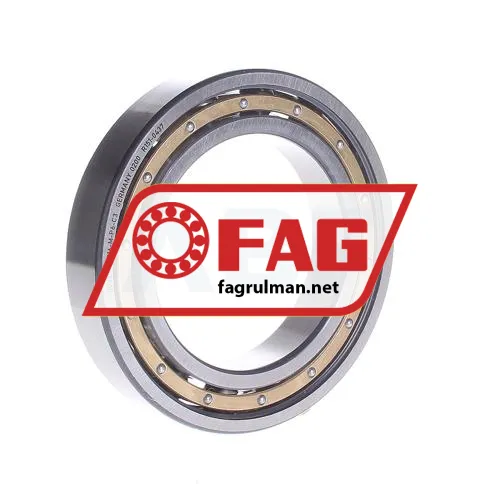 FAG 6016-M-P6-C3