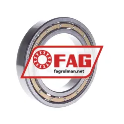 FAG 6016-M-P6-C3