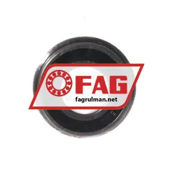 FAG F61901-2RSR-HLC rulman resim 2