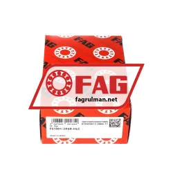 FAG F61901-2RSR-HLC rulman resim 3