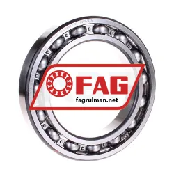 FAG 6021-C4