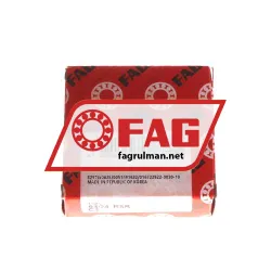 FAG 6304-RSR-C3 rulman resim 3