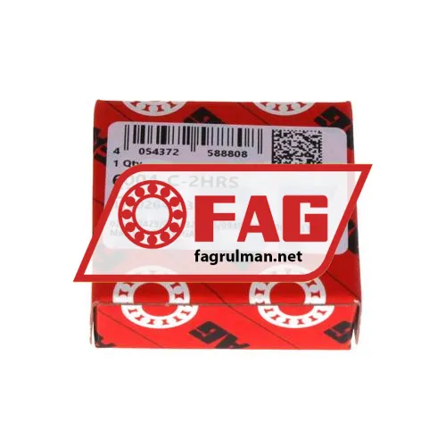 FAG 6004-C-2HRS-C3
