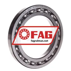 FAG 16020