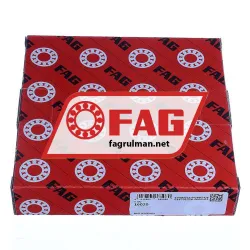 FAG 16020 rulman resim 4