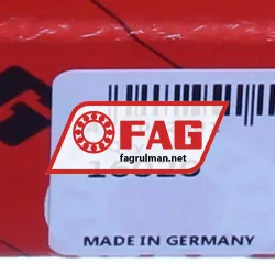 FAG 16020 rulman resim 5