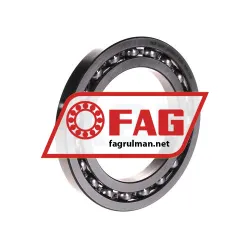 FAG 16017