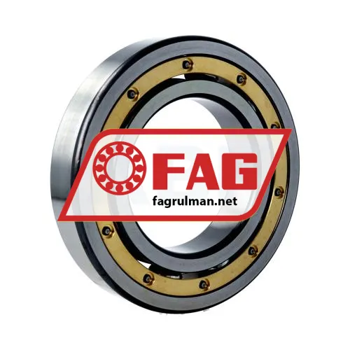 FAG 6219-MA-P5-S1-C4 ürün fotoğrafı 2