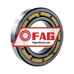 FAG 6219-MA-P5-S1-C4 rulman resim 2