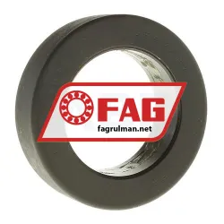 FAG 528548B