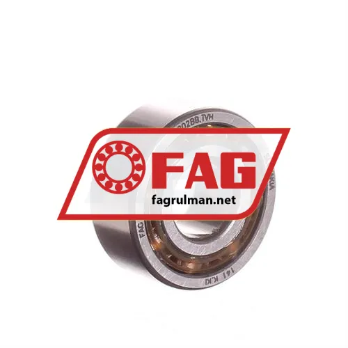 FAG 4202-BB-TVH