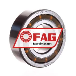FAG 4207-BB-TVH