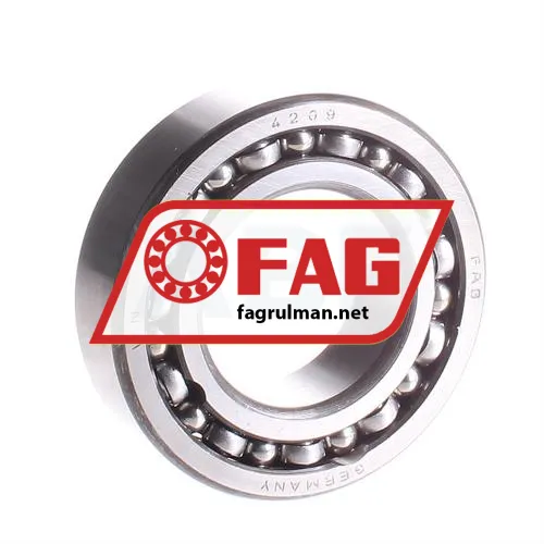 FAG 4209
