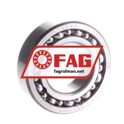 FAG 4209