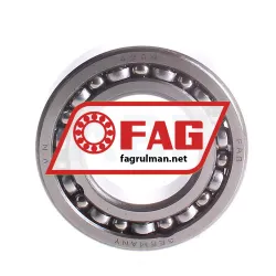 FAG 4209 rulman resim 2