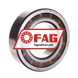 FAG 4210-BB-TVH-L1