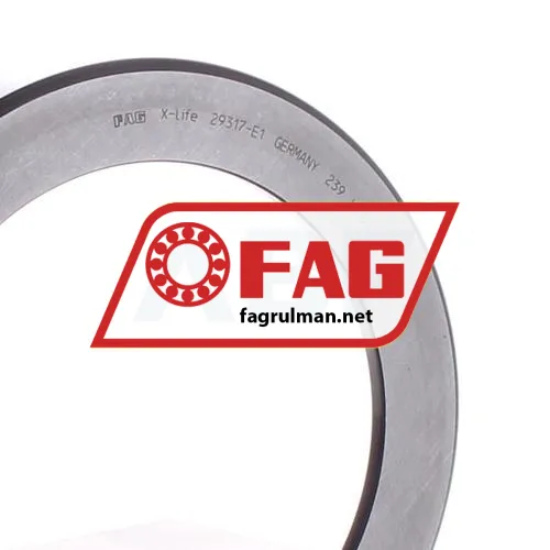 FAG 29317-E1