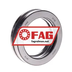 FAG 51109