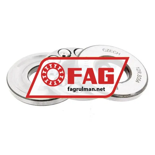 FAG 51100