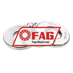 FAG 51100