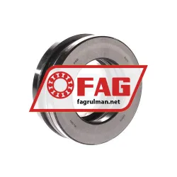 FAG 51313