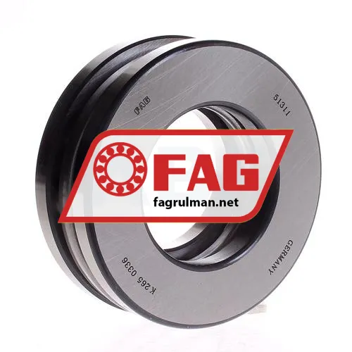 FAG 51311