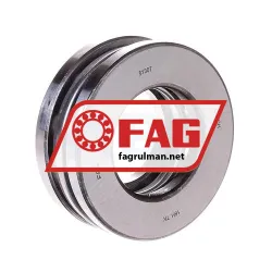 FAG 51307