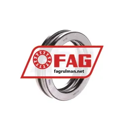 FAG 51110
