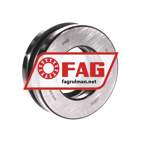 FAG 51310