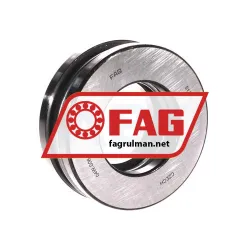 FAG 51310