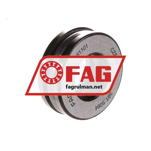 FAG 51101