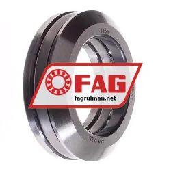 FAG 53209