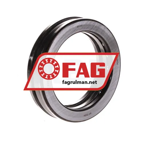FAG 51113