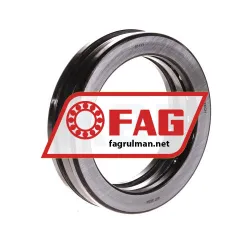 FAG 51113
