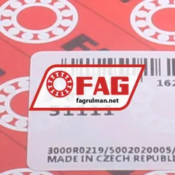 FAG 51111 rulman resim 5