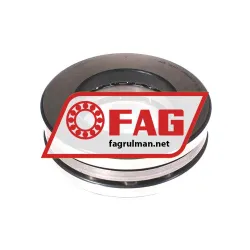 FAG 51317