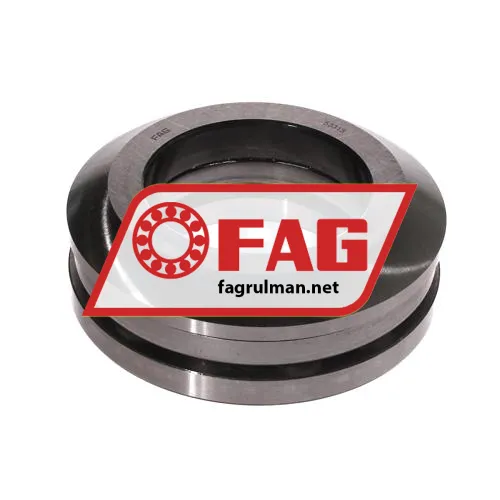 FAG 53313
