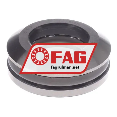 FAG 53309