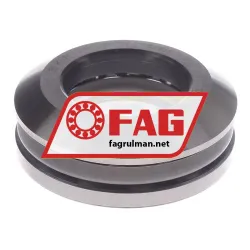 FAG 53309