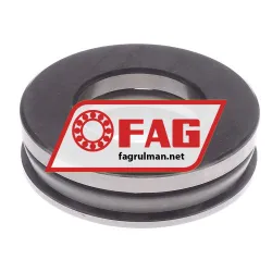 FAG 53309 rulman resim 4