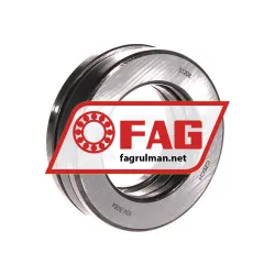 FAG 51208