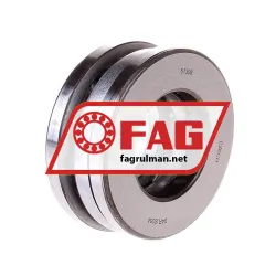 FAG 51306