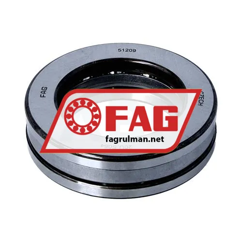 FAG 51209