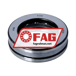 FAG 51209